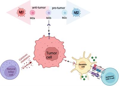 Breaking down the tumor immune infiltration within pediatric sarcomas